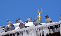 Erzurum’da hava soğudu! Termometreler -18’i gösterdi