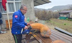 Karabük’te 40 kiloluk kabak görenleri şaşırttı