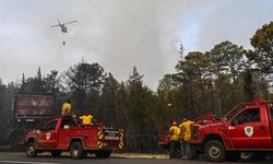 California'da orman yangınlarında 132 yapı yok oldu