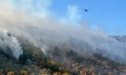 Bilecik'te orman yangınını söndürme çalışması sürüyor