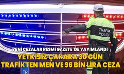 İç güvenlik alanında düzenlemeler içeren kanun Resmi Gazete'de yayımlandı! Yetkisiz çakara 30 gün trafikten men