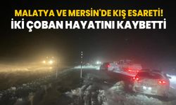 Malatya ve Mersin'de kar esareti! 2 çoban hayatını kaybetti