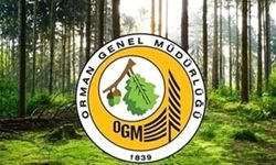 Orman Genel Müdürlüğü 9 geçici işçi alacak