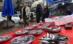 Kar yağışı ve fırtına balık tezgahlarını boşalttı