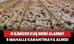 Eskişehir’de kuş gribi alarmı! 5 mahalle karantinaya alındı