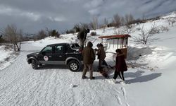 Erzincan'da kar yağışından zarar gören tarım ürünleri tespit ediliyor