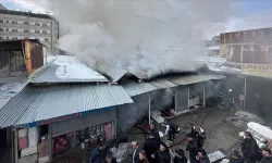 Van'ın Tuşba ilçesinde konteyner yangını çıktı