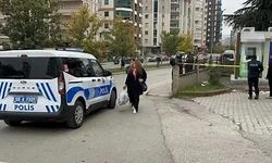 Kırklareli'nde eşini baltayla öldüren kişi polise teslim oldu