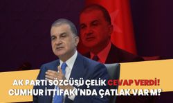 AK Parti Sözcüsü Çelik cevap verdi! Cumhur İttifakı'nda çatlak var m?