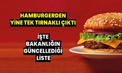 Bakanlık listeyi güncelledi! Hamburgerden yine tek tırnaklı çıktı