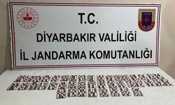 Diyarbakır'da üstünde zehirle yakalanan zanlı tutuklandı