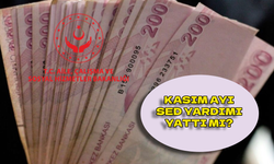 Kasım ayı SED yardımı yattı mı? SED yardımı kasım 2024!