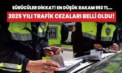 Yeniden Değerleme Oran sonrası tek tek hesaplandı! 2025'te en düşük trafik cezası ne kadar olacak?