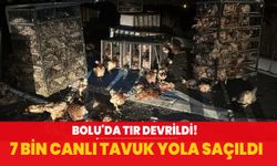 Bolu'da TIR devrildi! 7 bin canlı tavuk yola saçıldı