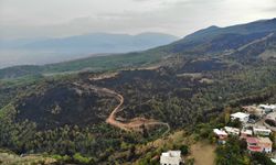 Hatay'da orman yangınında küle dönen alan görüntülendi