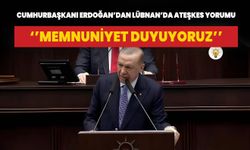 Cumhurbaşkanı Erdoğan’dan Lübnan’da ateşkes yorumu: Memnuniyet duyuyoruz