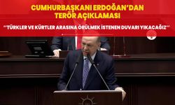 Cumhurbaşkanı Erdoğan: Türkler ile Kürtler arasında örülmek istenen terör duvarını yıkıp atacağız