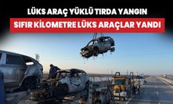 Afyonkarahisar'da lüks araç yüklü tırda yangın: Sıfır kilometre lüks araçlar yandı