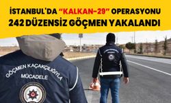 İstanbul'da “KALKAN-29” operasyonu: 242 düzensiz göçmen yakalandı