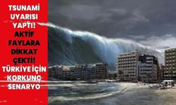 Deprem uzmanından Tsunami uyarısı! 3 metreye yükselebilir