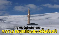 Ardahan'daki yayla evleri kara gömüldü