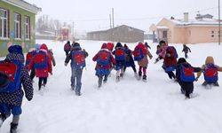 Yarın hangi illerde okullar tatil? 26 Kasım Salı okullar tatil mi?