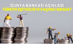 Dünya Bankası, Türkiye'de eşitsizliğe dikkat çekti