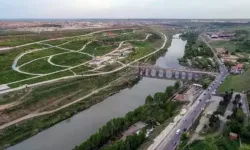 Dicle Nehri'ne düşen çoban ölü bulundu