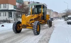 Ardahan'da kardan kapanan yollar ulaşıma açıldı