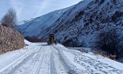 Olumsuz hava şartları nedeniyle, Van'da 21 yerleşim alanına ulaşım kapandı