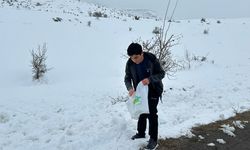 Erzincan'da doğa hayvanları unutulmadı