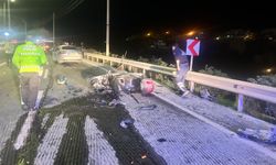 CHP Bodrum ilçe başkanının abisi trafik kazasında yaşamını yitirdi