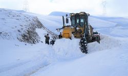 Muş’ta ulaşıma kar engeli: 210 köy yolu kapandı