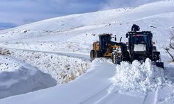 Van'da kapanan yerleşim yolarının 280'i ulaşıma açıldı