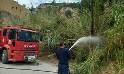 Hatay'da kamışlık alanda çıkan yangın söndürüldü