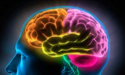 Brain Rot nedir ne anlama geliyor?