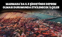 Marmara'da 6.5 şiddetinde deprem olması durumunda etkilenecek ilçeler