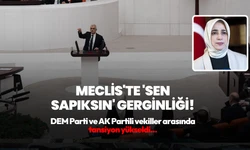 Meclis'te 'Sen sapıksın' gerginliği! DEM Parti ve AK Partili vekiller arasında tansiyon yükseldi