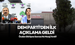 DEM Parti'den İmralı açıklaması! Öcalan ne mesaj verdi?