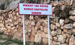 Adıyaman'da bir köy kuduz nedeniyle karantinaya alındı