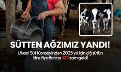 Ağzımızın tadı kaçtı! Süte yüzde 17 zam geldi