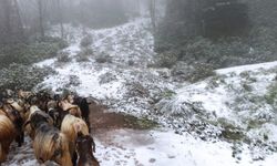 Sakarya’da kar yağışı başladı