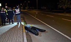 Aydın'da kardeşini korumaya çalışan ağabey, otomobilin çarpmasıyla hayatını kaybetti: Kaza anı  kamerada: