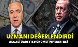 Asgari Ücret ne olacak? Hükümetin hedefi ne? Ünlü Ekonomist Özgür Erdursun değerlendirdi