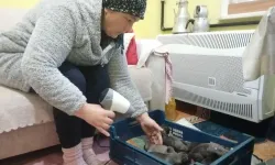 Sancaktepe’de çöp konteynerinde bulunan yavru köpekler kurtarıldı!