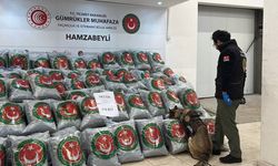 Edirne Hamzabeyli Gümrük Kapısı'nda 870 kilogram uyuşturucu ele geçirildi