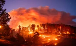 California'da zehirli kül alarmı