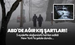 ABD'de ağır kış şartları: 5 eyalette olağanüstü hal ilan edildi, New York'ta şelale dondu