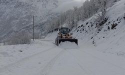 Şırnak'ta kapalı köy yolları ulaşıma açıldı