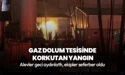 Kocaeli'nde gaz dolum tesisinde korkutan yangın